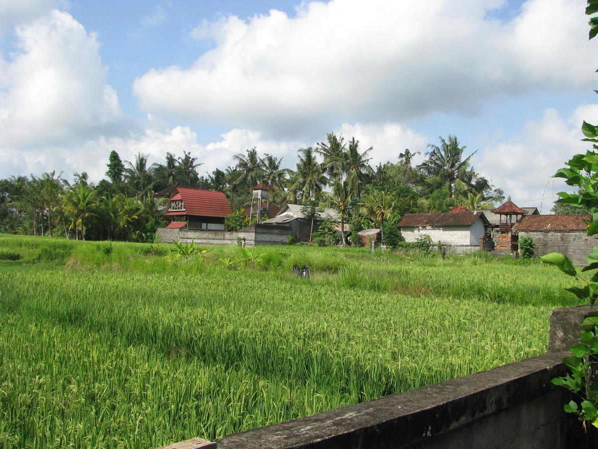Pondok Mesari House Ubud Exteriör bild